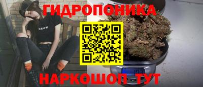 стаф Краснодар