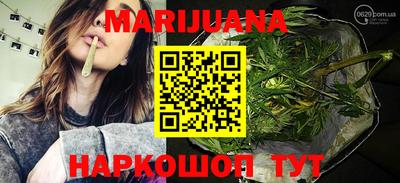 шишки Коммунар