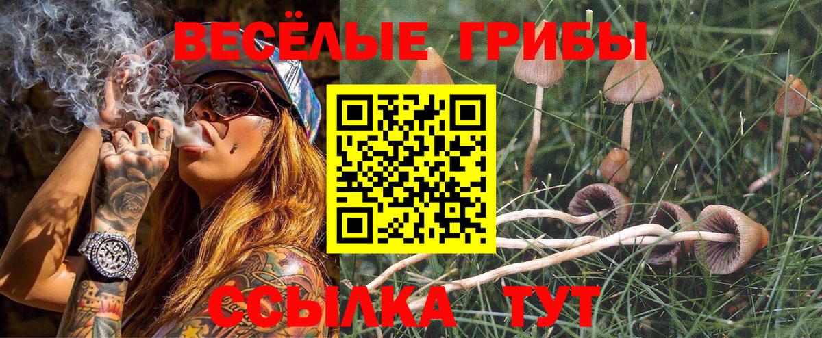 Псилоцибиновые грибы Cubensis  купить наркоту  Краснокаменск  Вход с VPN 